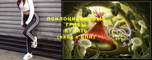 экстази Баксан