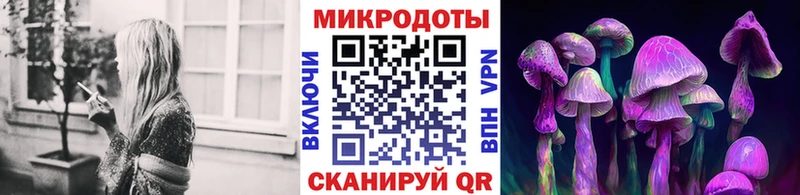 Галлюциногенные грибы Cubensis  Пласт 